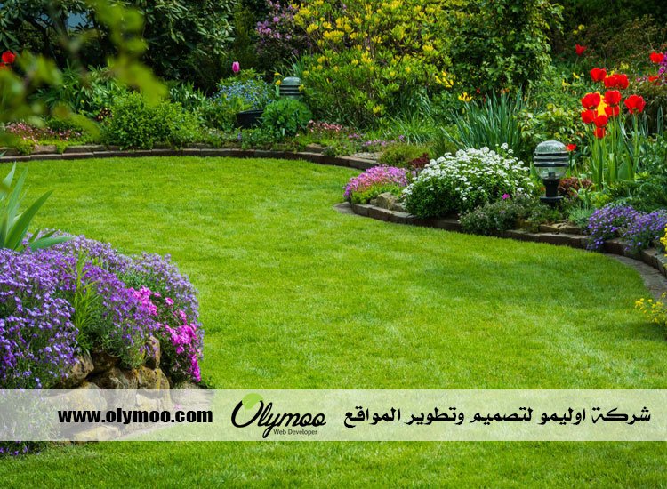تنسيق حدائق بالرياض