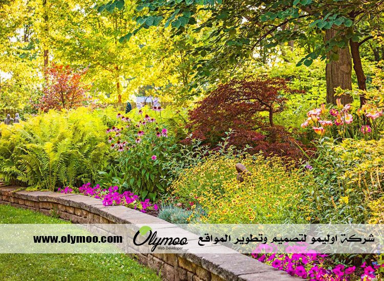 شركة تنسيق حدائق بالرياض