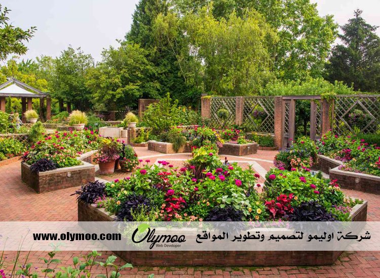 شركة تنسيق حدائق بالرياض