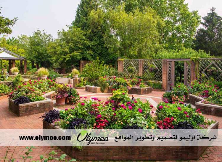 شركة تنسيق حدائق بالرياض
