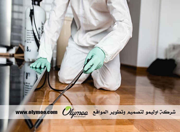 شركة مكافحة حشرات بجدة