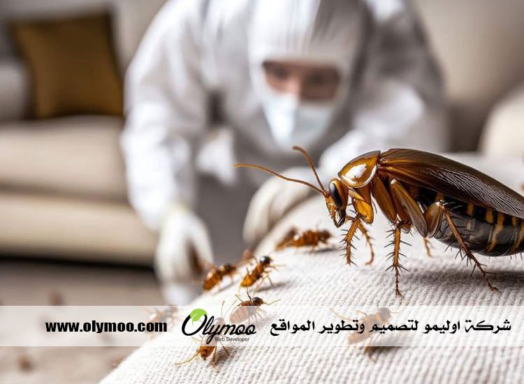 شركة مكافحة حشرات بجدة