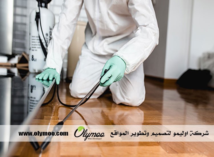 شركة مكافحة حشرات في دبي