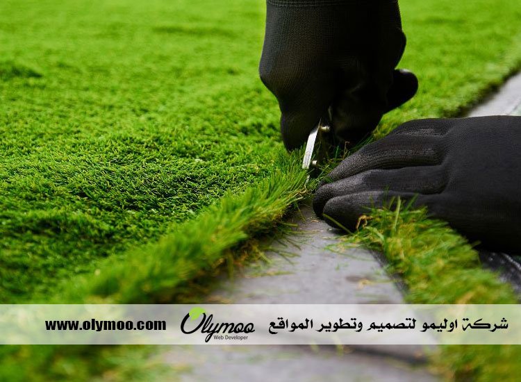 تنسيق حدائق